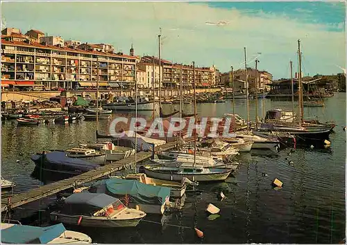 Cartes postales moderne Sete (Herault) Le port de Plaisance la Promenade J B Marty et le criee