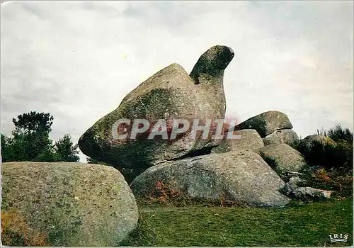 Cartes postales moderne Le Sidorre (Tarn) Pays des rochers trembblants et des pierres curieuses le Roc de l'Oie