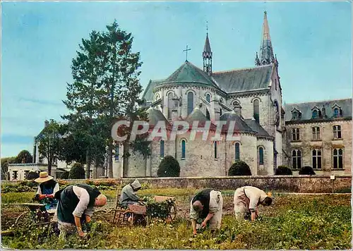 Moderne Karte Abbaye de la Trappe Soligny la Trappe (Orne) Jardinage