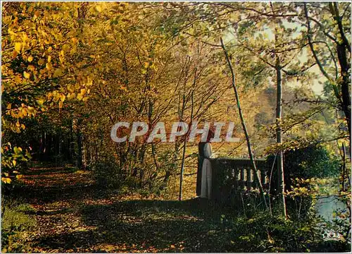 Moderne Karte Abbaye de N D de la Trappe Soligny la Trappe Orne (France) L'allee ou devisaien Bossuet et Rance