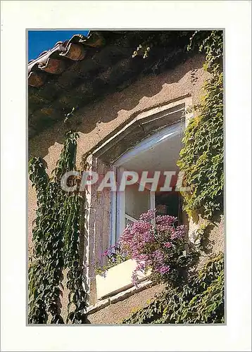 Cartes postales moderne En Provence