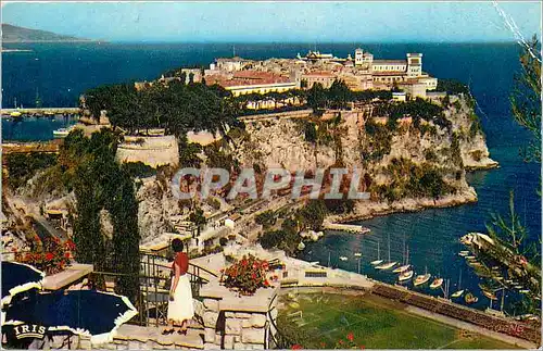 Cartes postales moderne Reflets de la Cote d'Azur Le rocher de Monaco vu du jardin exotique