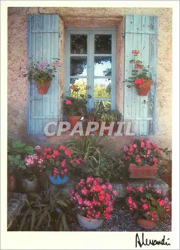 Moderne Karte Images Lumieres Provence vue sur Fleurs