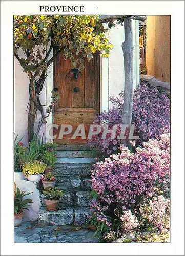 Cartes postales moderne Provence