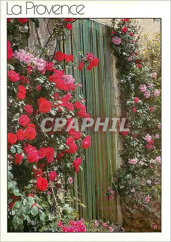 Cartes postales moderne La Provence