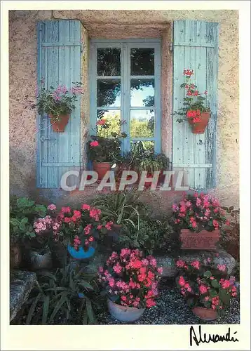 Cartes postales moderne Images Lumieres Provence vu sur Fleurs