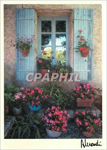 Moderne Karte Images Lumieres Provence vu sur Fleurs