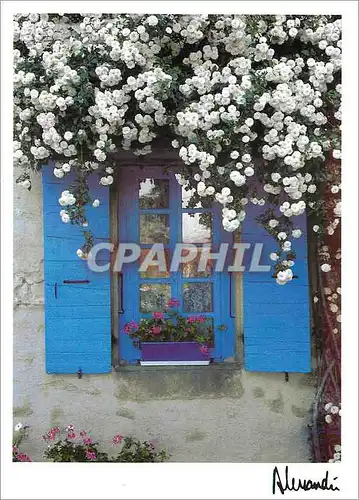 Cartes postales moderne Images Lumieres Provence Neige dePrintemps