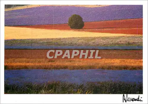 Cartes postales moderne Images Lumieres Provence Equilibre