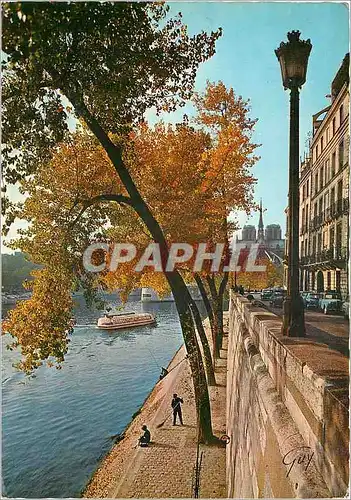 Cartes postales moderne Paris et ses merveilles l'ile St Louis le quai d'Orleants et la Seine