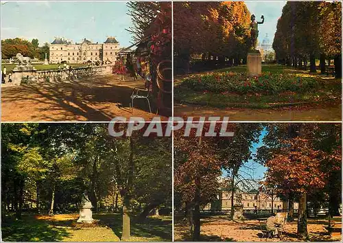 Cartes postales moderne Sous le Ciel de Paris le jardin du Luxembourg