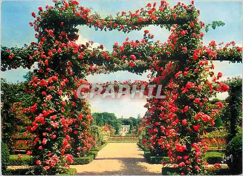 Cartes postales moderne Paris Bois de Boulogne La Roseraie de Bagatelle