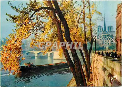 Moderne Karte Paris Notre Dame Vue de l'Ile Saint Louis