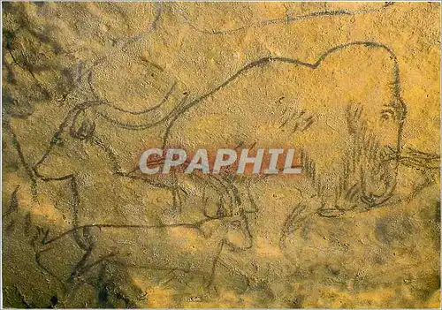 Cartes postales moderne Grotte de Rouffignac Dordogne (Monument Historique) Mammouth et Bouquetins du Grand Plafond