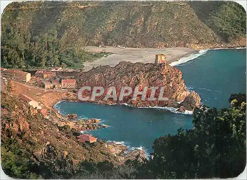 Cartes postales moderne Panorama de la Corse Porto Bosquet d'eucalyptus et plage de sable