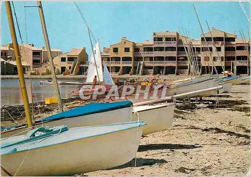 Cartes postales moderne Port Barcares Pyr Or L'Ecole de Voite Centre Maritie du Nautisme