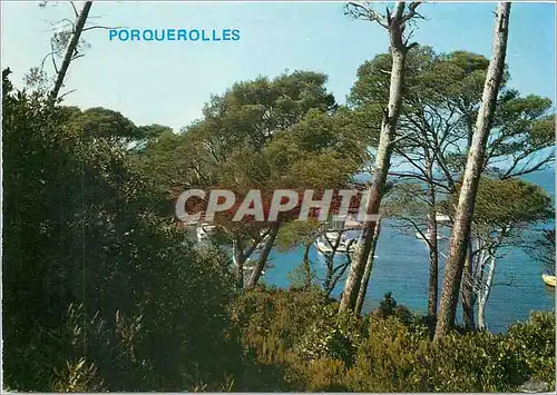 Moderne Karte L'une des trois iles d'or Porquerolles La crique de l'Alycastre avec ses bateaux