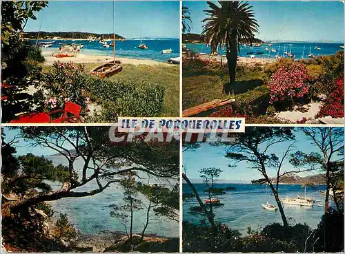 Cartes postales moderne Reflets de la Cote d'Azur Ile de Porquerolles Var