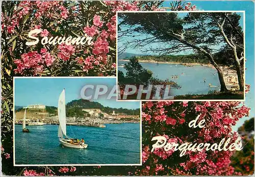 Cartes postales moderne Les Iles d'Hyeres Porquerolles Var Le Port La plage d'Argent