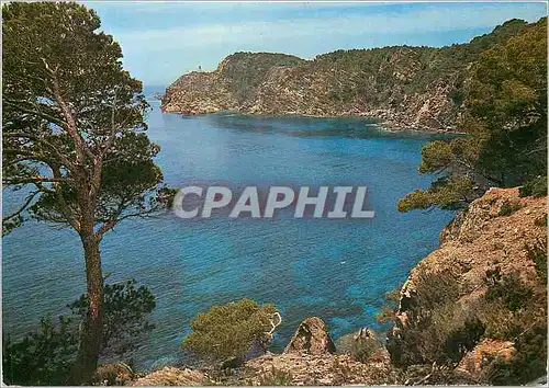 Cartes postales moderne La Perle des Iles d'Or Ile de Porquerolles Var Calanque des Indiennes et le Phare