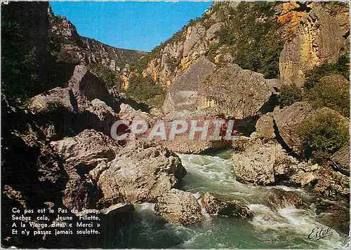 Cartes postales moderne Gorges du Tarn Le Pas de Soucy