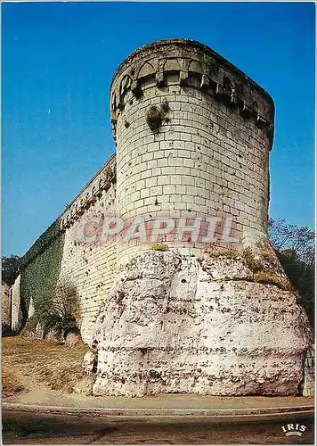 Cartes postales moderne Poitiers Vienne Le chateau La Tour a l'Oiseau