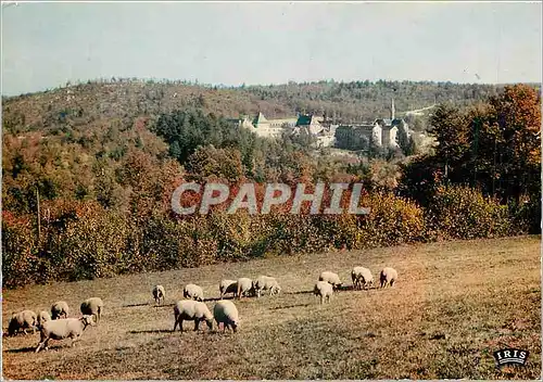 Cartes postales moderne Reflets du Morvan Abbaye de la Pierre Qui Vire Vue generale cote Sud