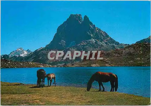 Cartes postales moderne Les Pyrenees Pic du Midi d'Ossau Le Lac d'Ayous