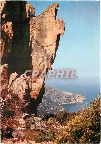 Cartes postales moderne La Corse Ile de Beaute Les Calanche de Piana