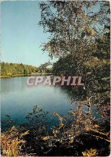 Cartes postales moderne Correze Pittoresque Aux environs de Tulle et d'Argentat Gimel Etang de Ruffaud
