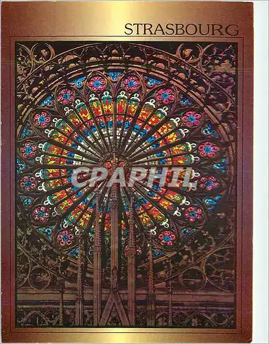 Cartes postales moderne Bas Rhin Strasbourg La Cathedrale La Rosace