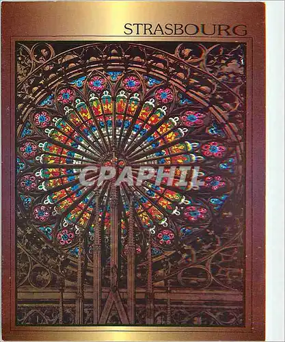 Cartes postales moderne Bas Rhin Strasbourg La Cathedrale La Rosace