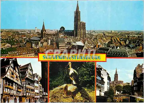 Cartes postales moderne Strasbourg Place Kleber Le Lohkas Nid de Cigognes La Petite France