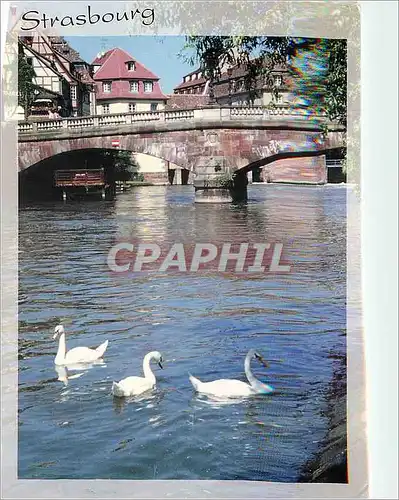 Cartes postales moderne Strasbourg La Petite France