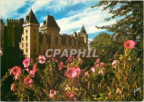 Cartes postales moderne Pau Pyrenees Atlantiques Capitale du Bearn Le Chateau ou naquit Henri IV