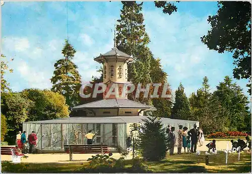 Cartes postales moderne Rennes Ille et Vilaine La Voliere du Thabor Oiseaux