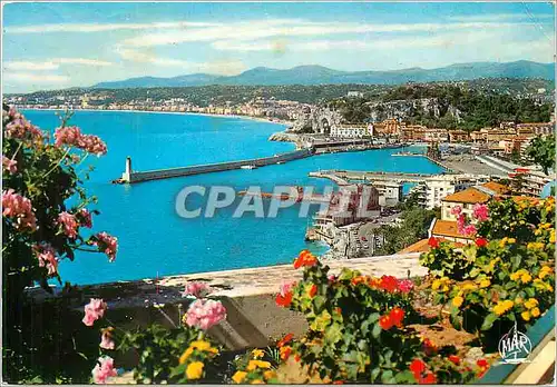 Cartes postales moderne La Cote d'Azur Nice Vue generale