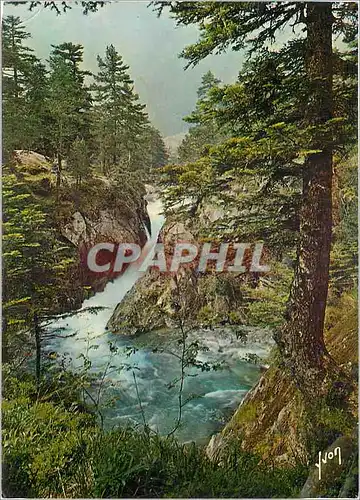 Cartes postales moderne Environs de Cauterets Hautes Pyrenees Cascade du Pas de l'Ours