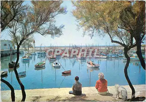Cartes postales moderne Ile d'Oleron Chte Mme Le Port de La Cotiniere