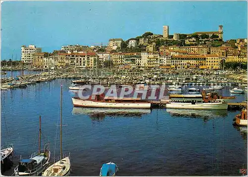 Moderne Karte Cannes Vue generale sur le Suquet et un Coin du Port