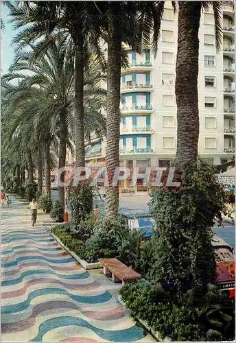 Cartes postales moderne Alicante Spain Promenade