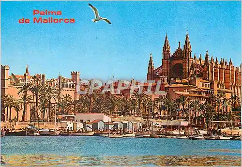 Cartes postales moderne La Catedral Y la Lonja Palma e Mallorca