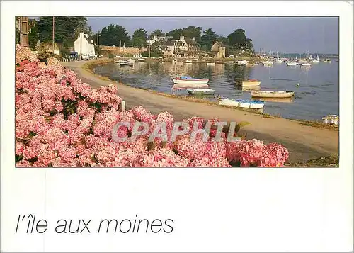 Cartes postales moderne Le Golfe du Morbihan L'Ile aux Moines Le Port