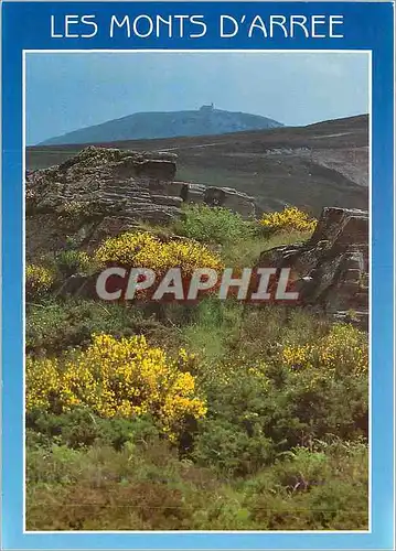 Cartes postales moderne Les Monts d'Arre Braspart Finistere Le Mont Saint Michel