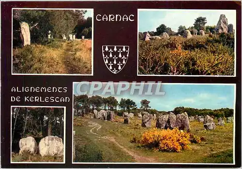 Cartes postales moderne Carnac Les alignements de Kerlescan