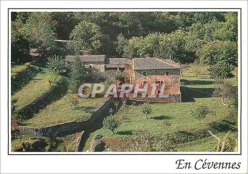 Cartes postales moderne En Cevennes Demeure cevenole au pied d'anciennes terrasses autrefois cultivees