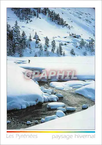 Moderne Karte Les Pyrenees paysage hivernal