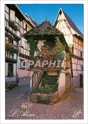 Cartes postales moderne Le Alsace Au pays des Cigognes Eguisheim