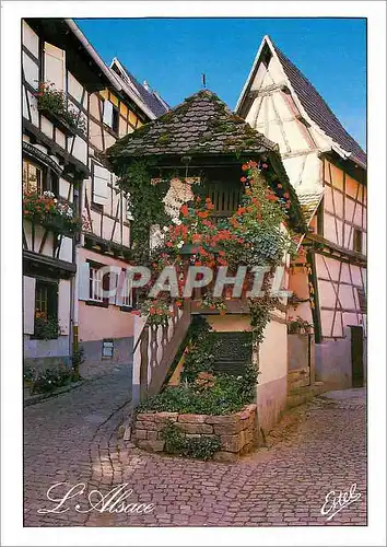 Moderne Karte Le Alsace Au pays des Cigognes Eguisheim