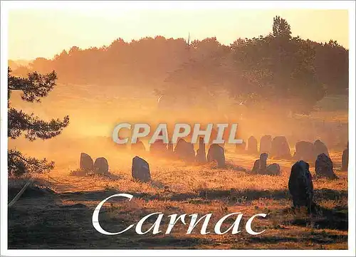 Cartes postales moderne Carnac Morbihan Les alignements de Kermario